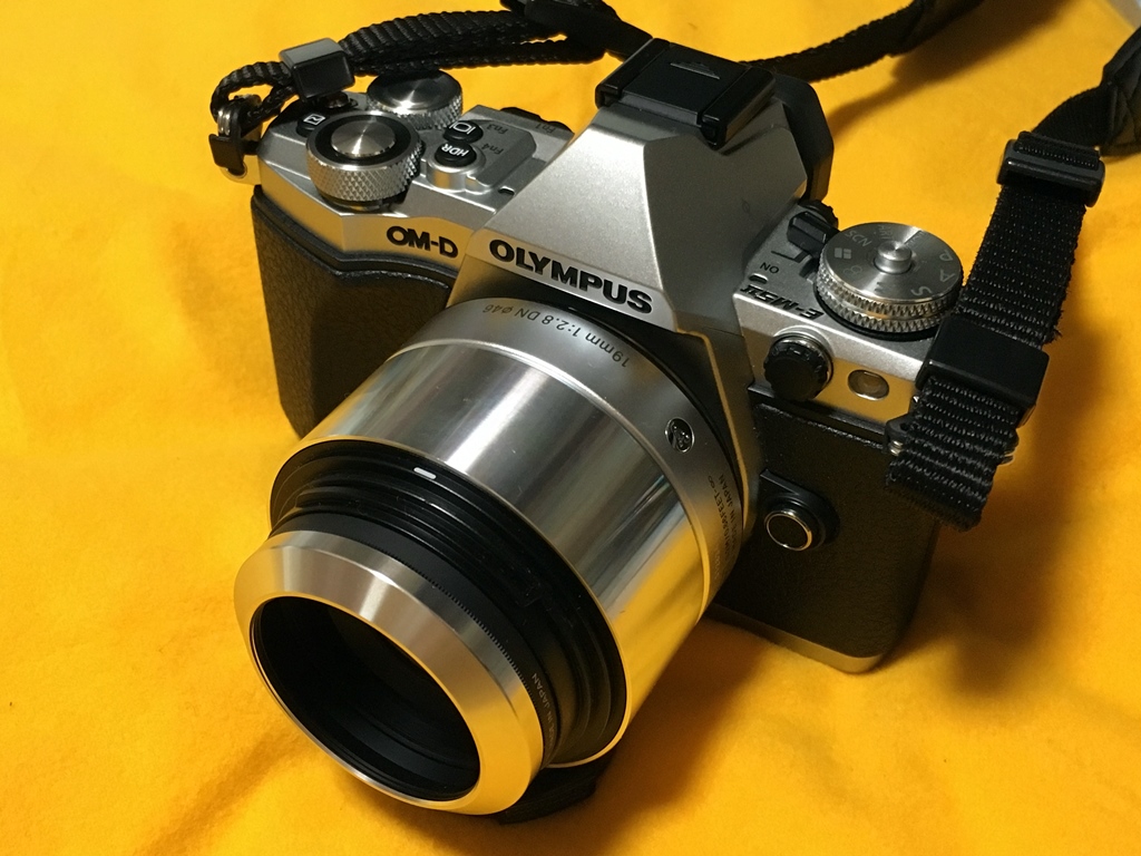 カメラ レンズ(単焦点) 野花 卯月 SIGMA（シグマ） Art 19mm f2.8 DN （マイクロフォーサーズ 