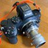 Nikon Z5+Summar 50mm f/2