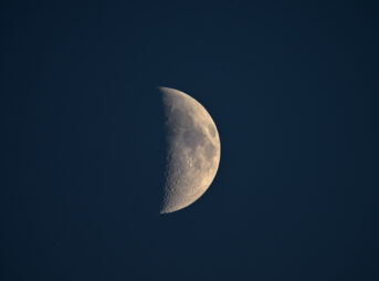 Nikon Z5+NIKKOR Z 100-400mm f/4.5-5.6 VR S