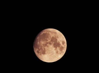 Nikon Z6II+NIKKOR Z 100-400mm f/4.5-5.6 VR S