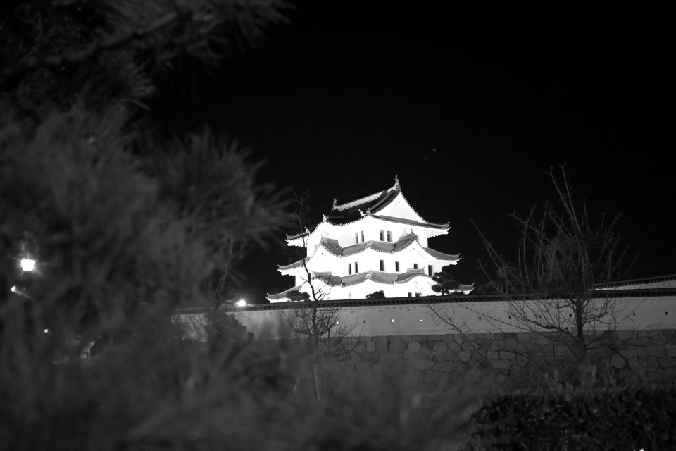 モノクロで撮った尼崎城（夜）