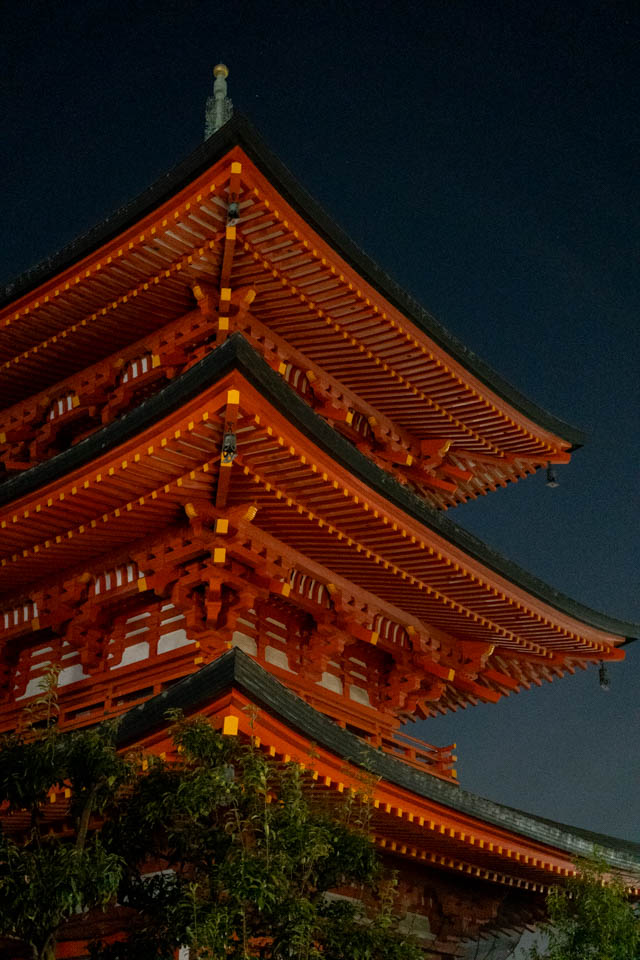 夜に薄暗い場所でお寺の三重塔を撮った写真