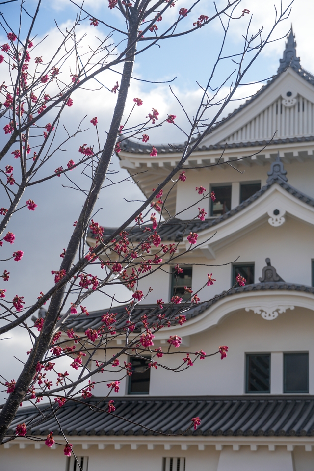 SONY α6700+E 18-135mm　尼崎城と桜