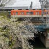 SONY α6700+E 18-135mm F3.5-5.6 OSS 桜と阪神電車