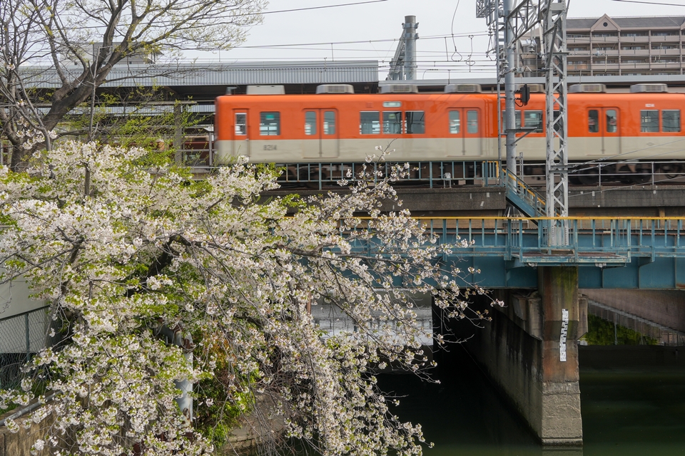 SONY α6700+E 18-135mm F3.5-5.6 OSS 桜と阪神電車