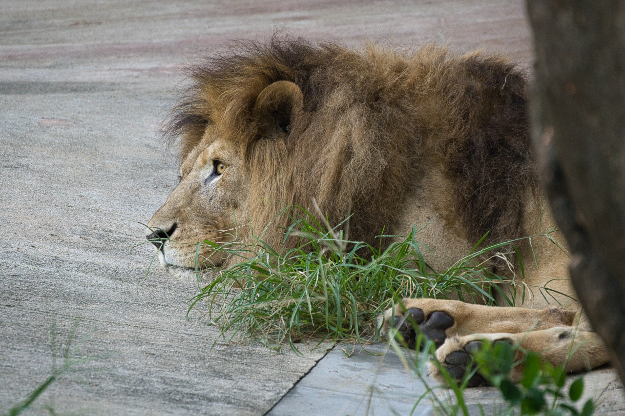 SONY α6700 + TAMRON 50-400mm F4.5-6.3 Di III VC VXD