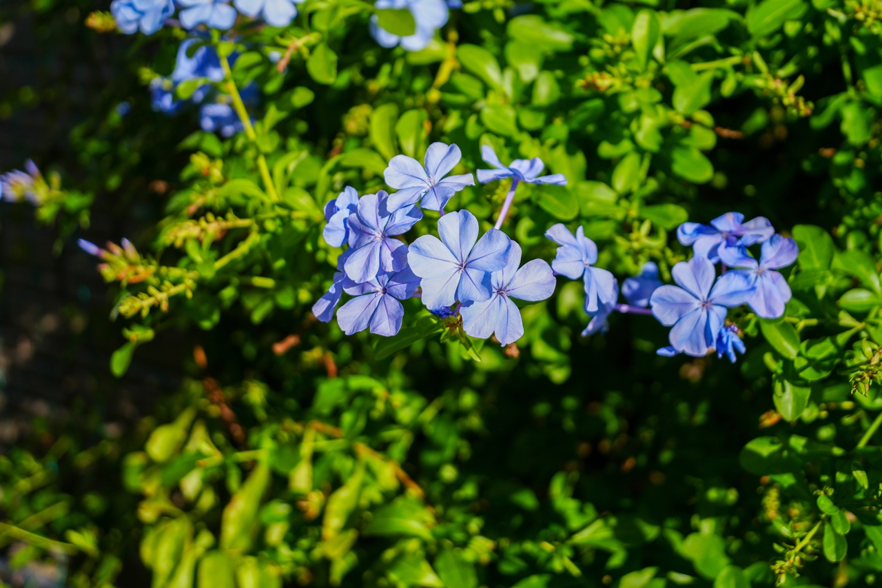 α6700 + VILTROX AF 28mm F4.5 FE