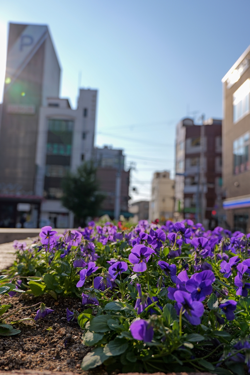 LUMIX S9 + LUMIX S 28-200mm F4-7.1 MACRO O.I.S