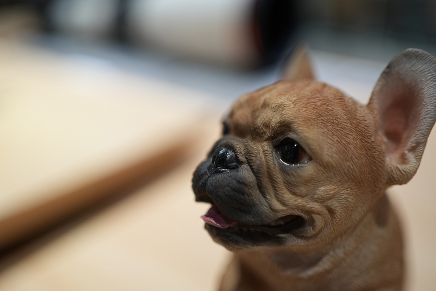 SONY α7CR + FE 35mm F1.8