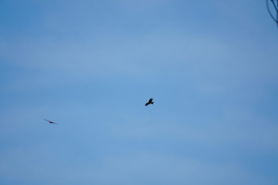 SONY α6700 + TAMRON 18-300mm F/3.5-6.3 Di III-A VC VXD
