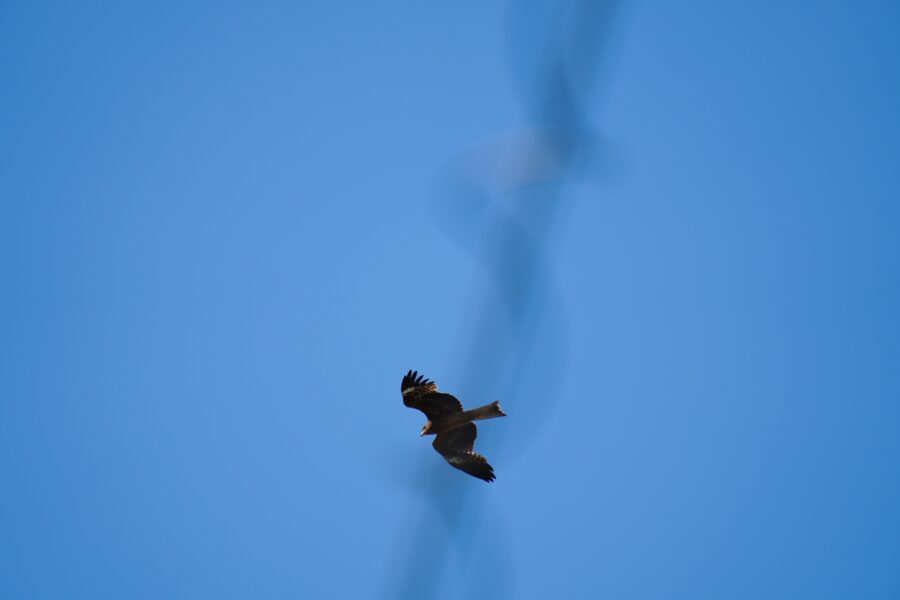 SONY α6700 + TAMRON 18-300mm F/3.5-6.3 Di III-A VC VXD
