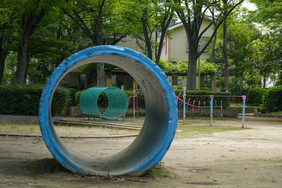 SONY α6700 + TAMRON 18-300mm F/3.5-6.3 Di III-A VC VXD