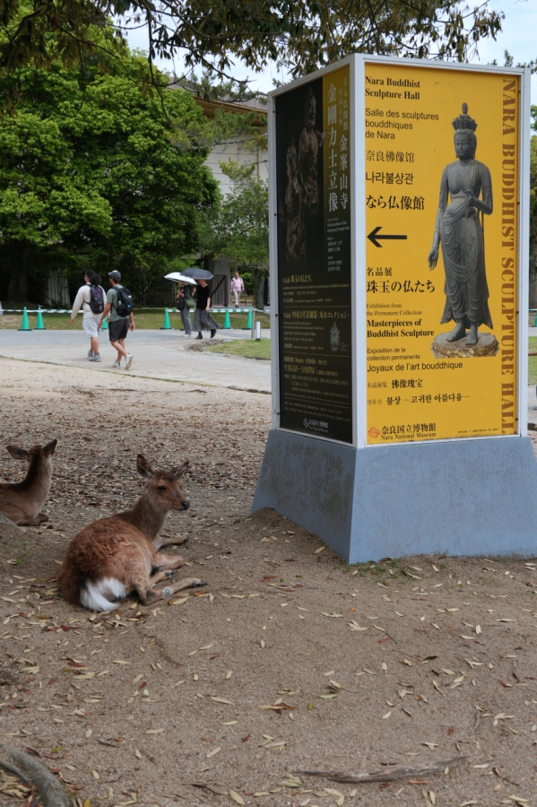 SONY α6700 + E 18-135mm f/3.5-5.6 OSS