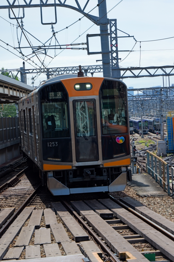 LUMIX S9 + LUMIX S 28-200mm F4-7.1 MACRO O.I.S
