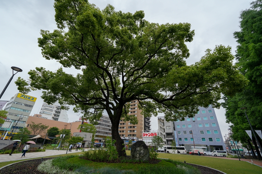 SONY α7CR + FE 16mm F1.8 G