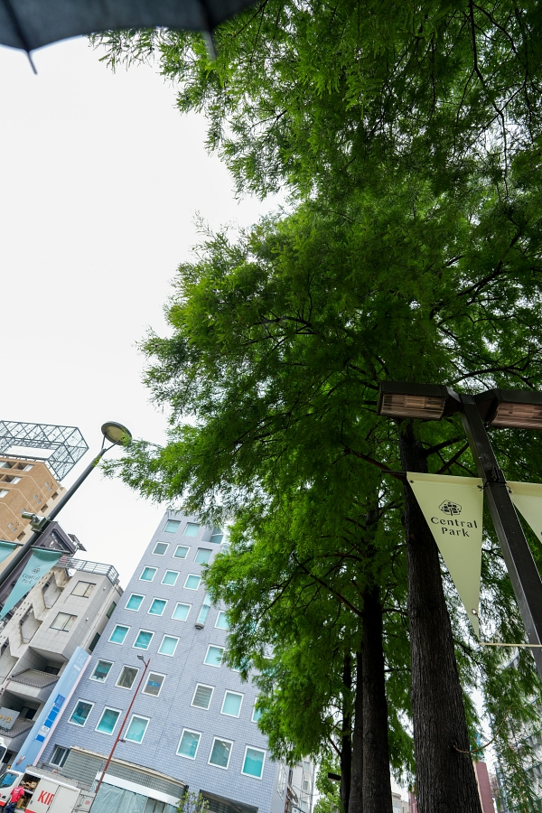 SONY α7CR + FE 16mm F1.8 G