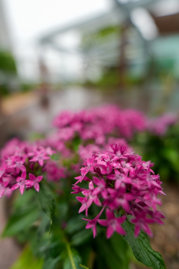 SONY α7CR + FE 16mm F1.8 G