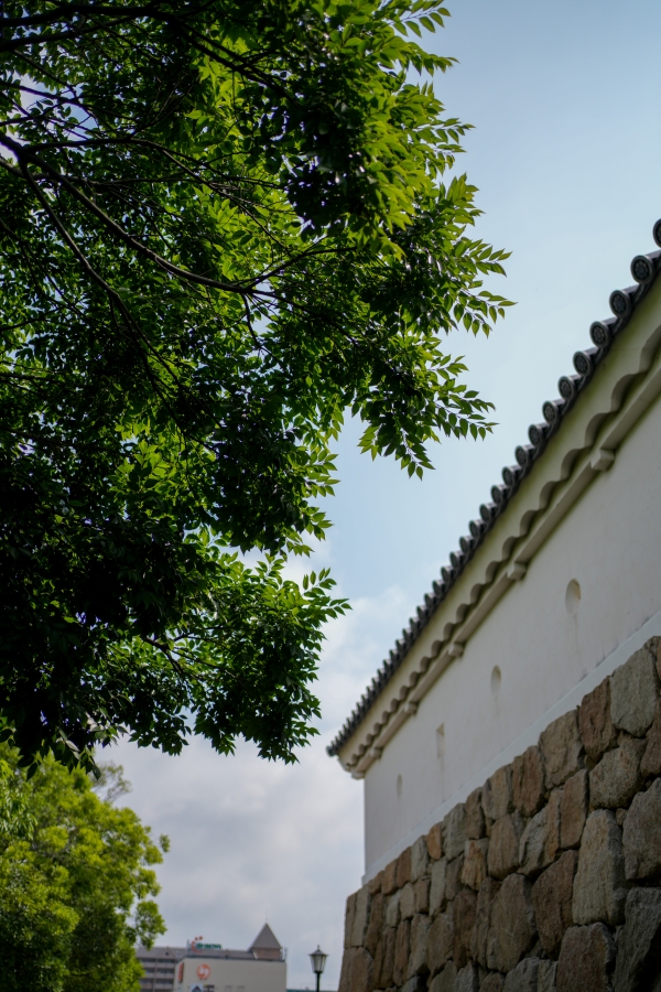 SONY α7CR + FE 35mm F1.8