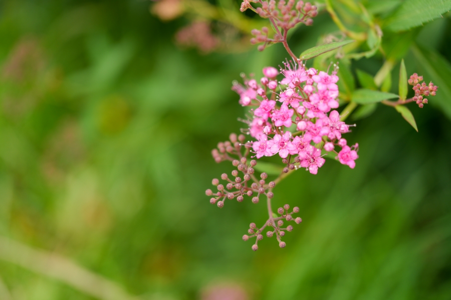 SONY α7CR + FE 24-50mm F2.8 G