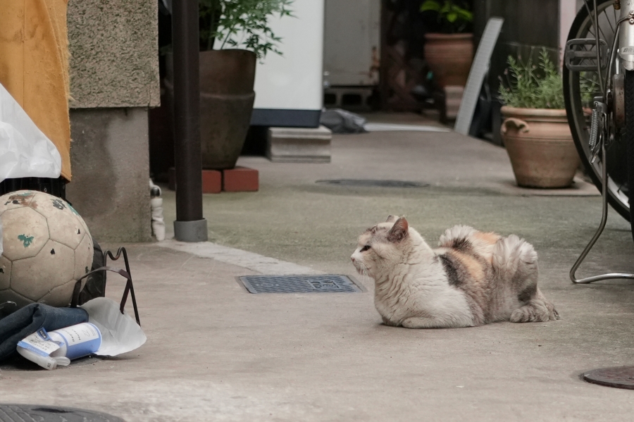 SONY α7CR + FE 24-50mm F2.8 G