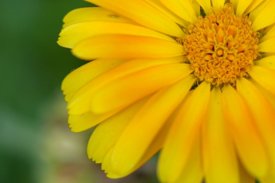 SONY α7CR + TAMRON 28-200mm F/2.8-5.6 Di III RXD