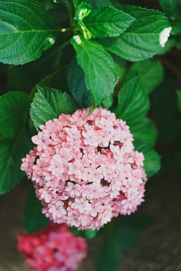 SONY α7CR + FE 24-50mm F2.8 G