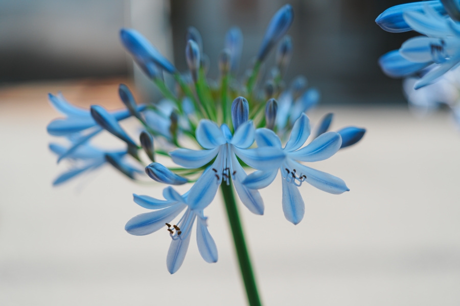 SONY α7CR + FE 24-50mm F2.8 G