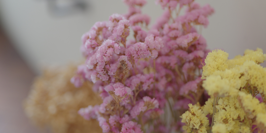 LUMIX S1II + LUMIX S 85mm F1.8