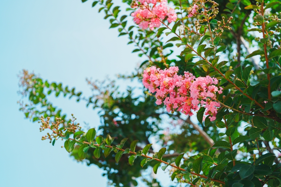SONY α7CR + FE 24-50mm F2.8 G