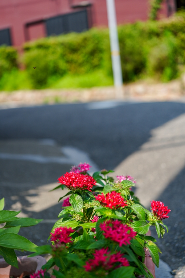 SONY α7CR + FE 24-50mm F2.8 G