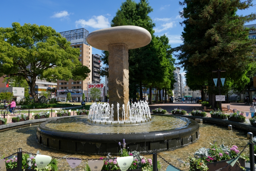 SONY α7CR + FE 24-50mm F2.8 G
