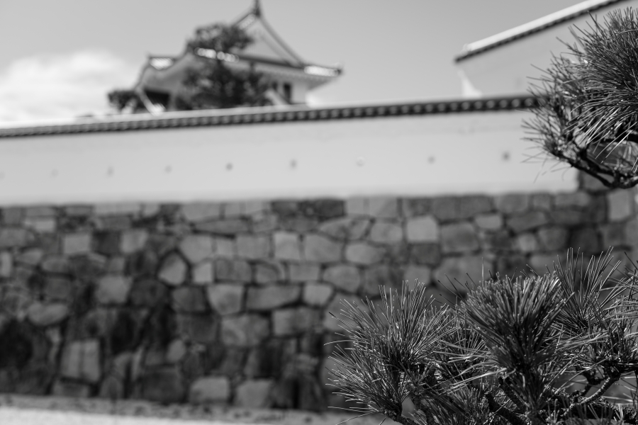 SONY α7CR + VILTROX AF 50mm F2 AIR