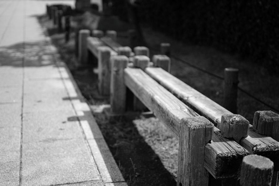 SONY α7CR + VILTROX AF 50mm F2 AIR