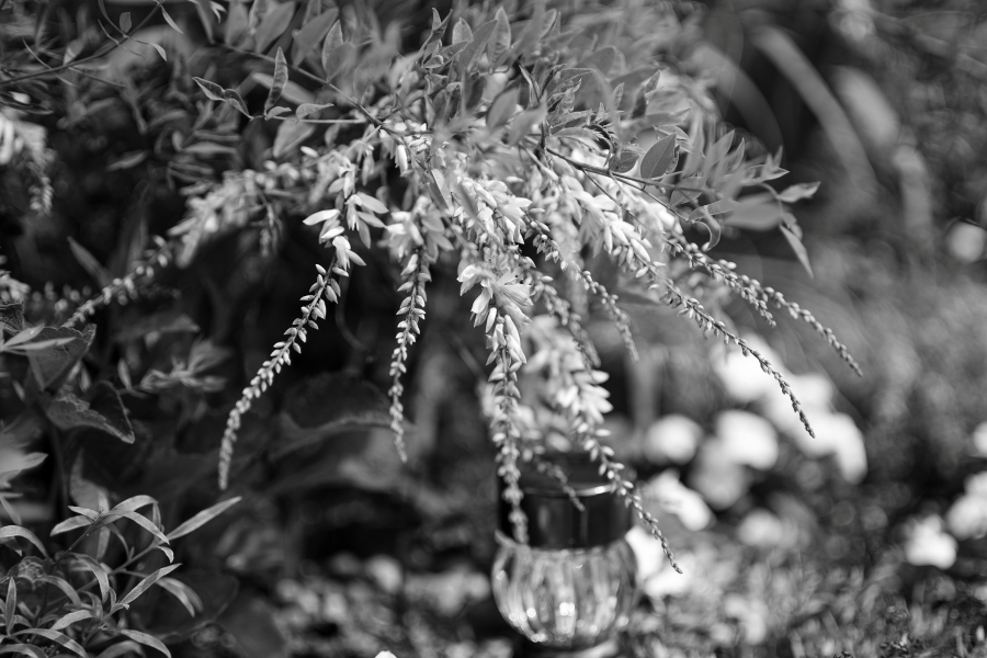 SONY α7CR + VILTROX AF 50mm F2 AIR