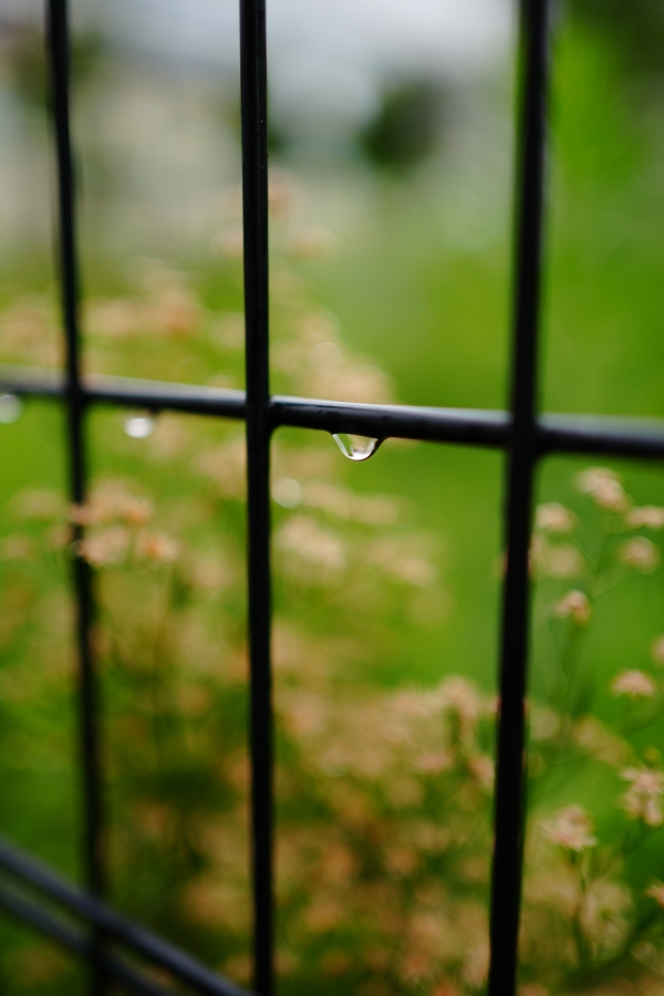 SONY α7CR + FE 35mm F1.8