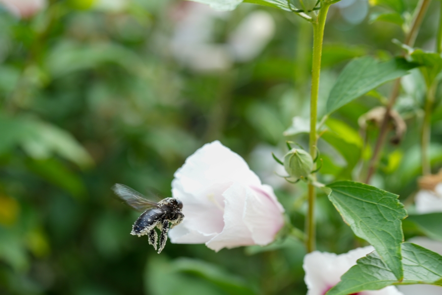 SONY α7CR + FE 50mm F1.4 GM