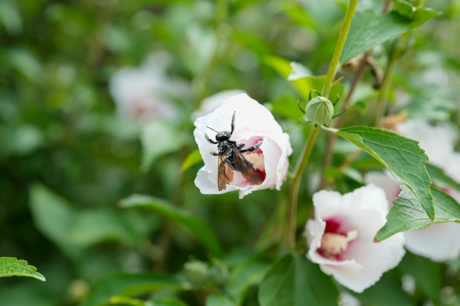 SONY α7CR + FE 50mm F1.4 GM