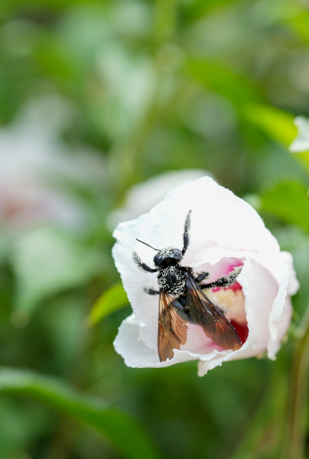 SONY α7CR + FE 50mm F1.4 GM