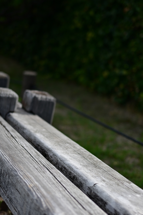 Nikon Z50 II + NIKKOR Z 40mm f/2