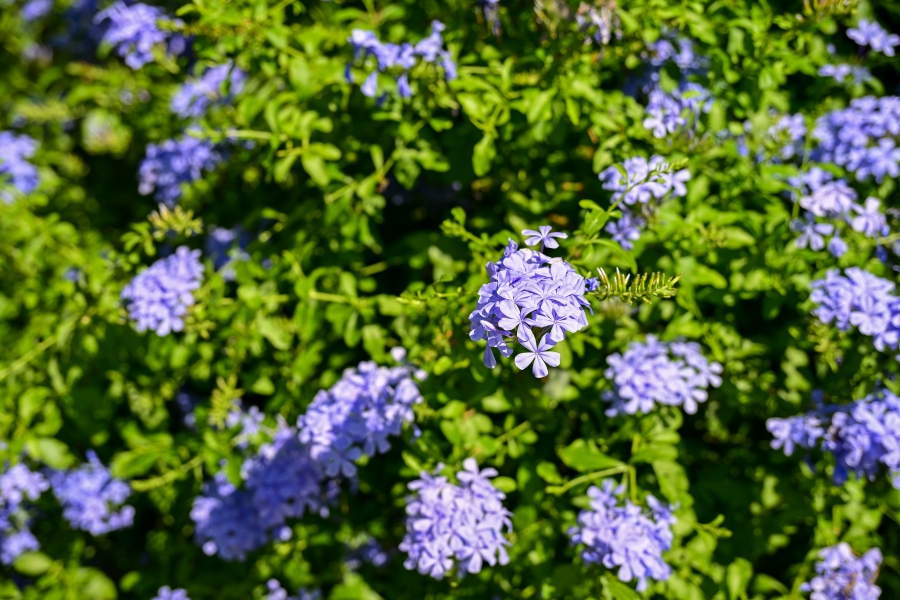 Nikon Zf + NIKKOR Z 24-120mm f/4 S