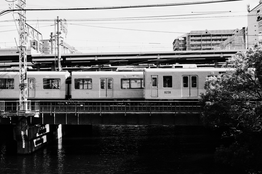 OM SYSTEM OM-5 Mark II + M.ZUIKO DIGITAL ED 12-45mm F4.0 PRO