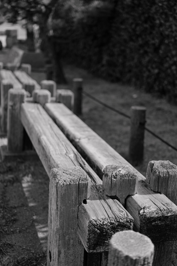 SONY α7CR + FE 24-50mm F2.8 G