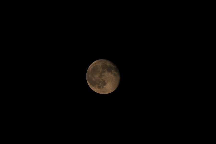 OM SYSTEM OM-5 Mark II + M.ZUIKO DIGITAL ED 75-300mm F4.8-6.7 II