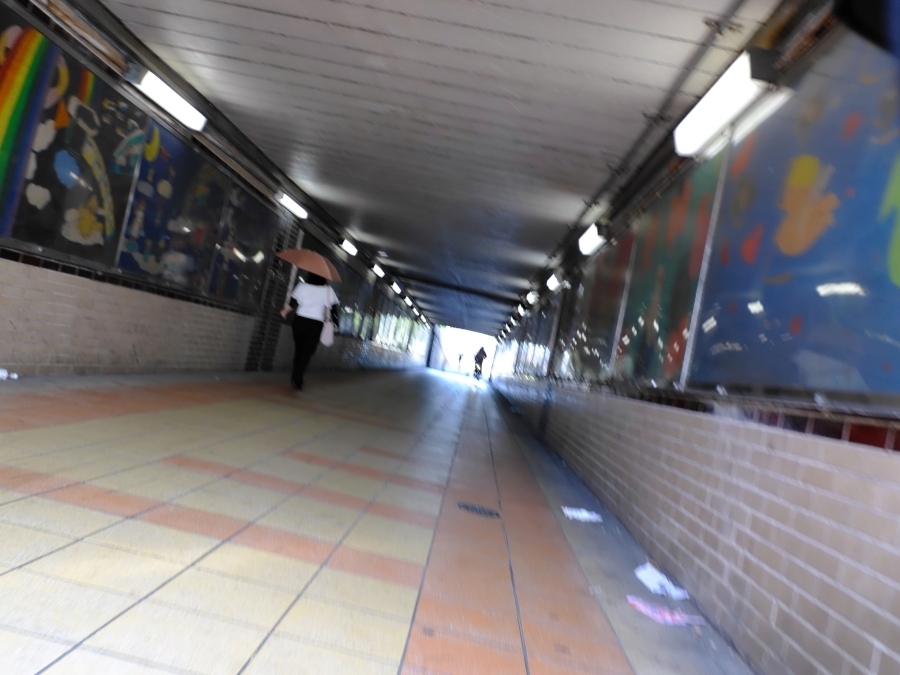 FUJIFILM X half