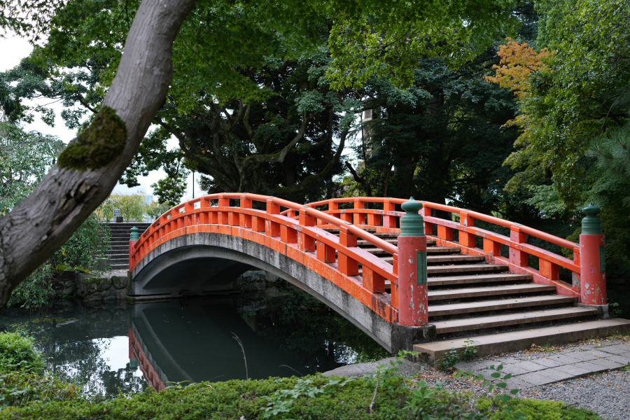 SONY α7CR + FE 24-50mm F2.8 G