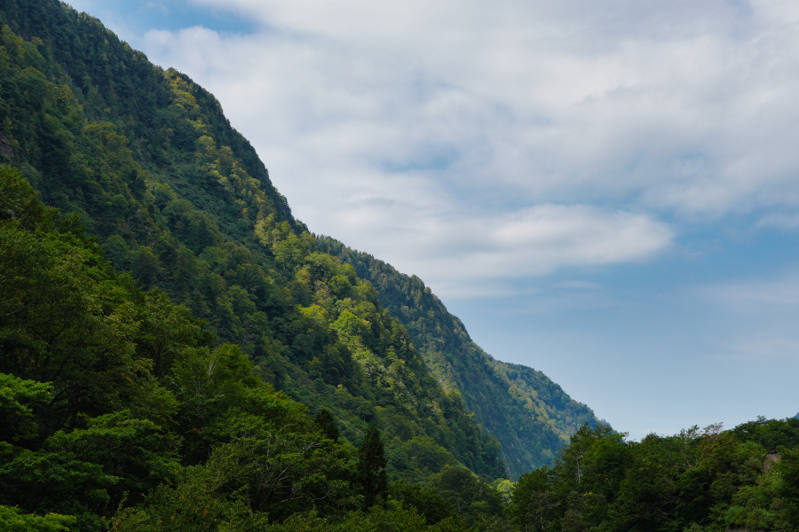 SONY α7CR + FE 24-50mm F2.8 G