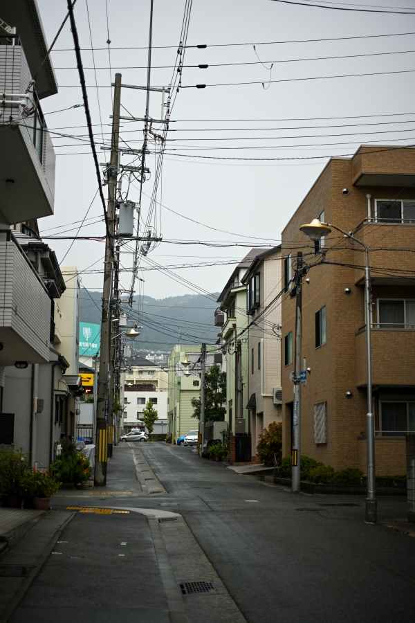 Nikon Z50II + NIKKOR Z DX MC 35mm f/1.7