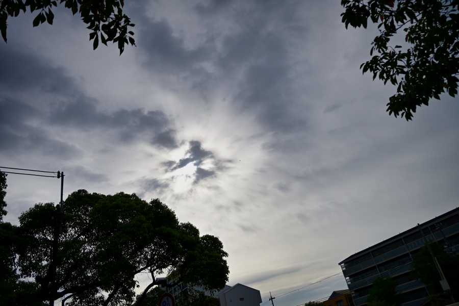 Nikon Z50II + NIKKOR Z DX 16-50mm f/3.5-6.3 VR
