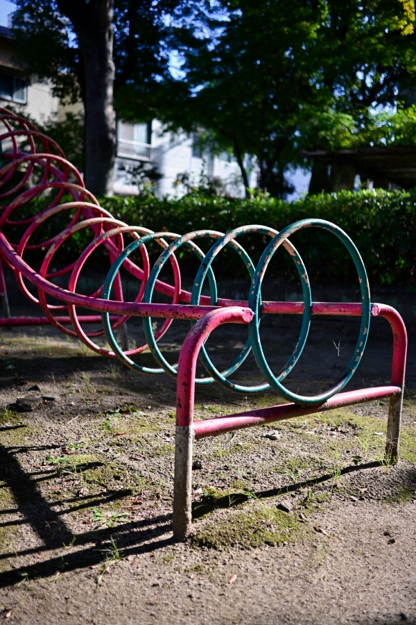 Nikon Z50II + NIKKOR Z DX 24mm f/1.7