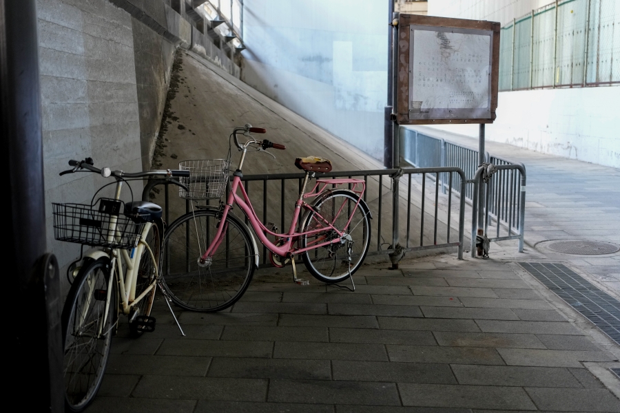 SONY α1 II + FE 24-50mm F2.8 G